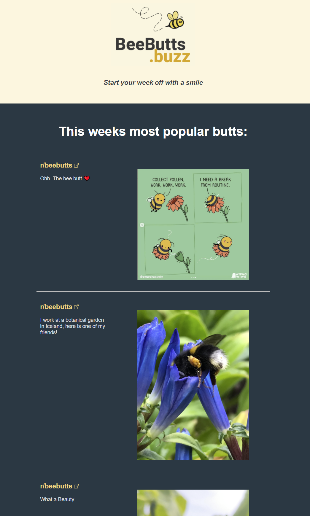 Newsletter Image